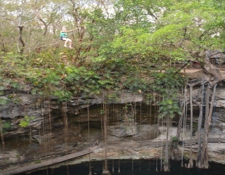  Baldachin in den Parks 